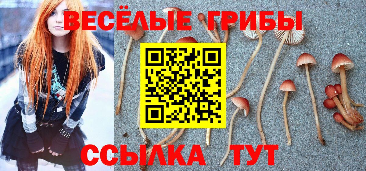 Галлюциногенные грибы GOLDEN TEACHER Нижний Новгород